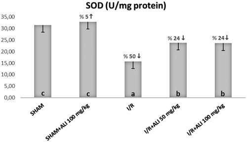 Figure 1. Effect of aliskiren treatment on SOD activity in the rats’ kidney tissues. ALI: aliskiren, I/R: ischemia/reperfusion. Notes: Means in the same column by the same letter are not significantly different to the test of Duncan (p = 0.05). Results are means ± SD.
