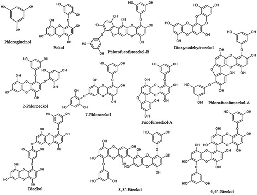 Figure 3. Chemical structures of different phlorotannins from marine algae (Singh & Bharate, Citation2006; Thomas & Kim, Citation2011).