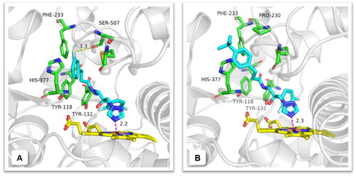 Figure 6. Predicted binding mode of compounds A3 and A9 (blue) in the active site of CYP51. Yellow dashed lines represent the halogen bond interactions and magenta dashed lines represent the coordination bond. The image was generated using PyMol.