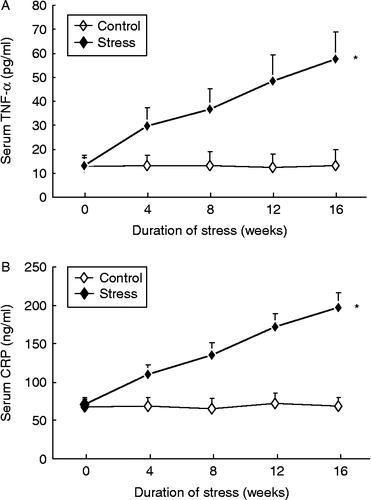 Figure 6.  Effects of chronic psychological stress on serum TNF-α (A) and CRP (B) in control and stressed animals. Data are mean ± SEM. *P < 0.01 vs. control group, two-way ANOVA (n = 9–10 per group/time point).