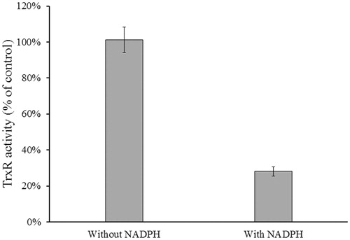 Figure 6. Determination of NADPH-dependent TrxR1 inhibition. Rat liver TrxR1 (0.34 unit/mL) was incubated with NACC (0.1 mM) in the presence or absence of NADPH (0.1 mM) in PE buffer at room temperature for 15 min. An aliquot was withdrawn and tested for the remaining TrxR1 activity as described for the TrxR assay. The results are presented as the means ± S.D. of three independent experiments.