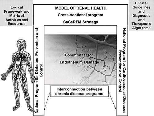 Figure 6 Renal Health Model. Symbiosis between public health and clinical medicine.