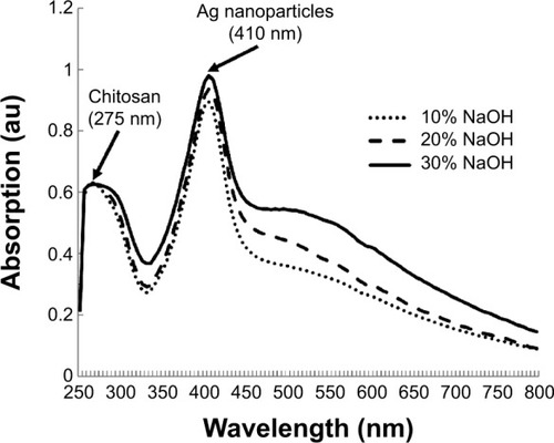 Figure 3 The UV-Vis absorbance spectra of the synthesized silver–chitosan composite spheres at various concentrations of AgNO3 solution.Abbreviations: AgNO3, silver nitrate; NaOH, sodium hydroxide; au, arbitrary unit; UV-Vis, ultraviolet-visible spectroscopy.