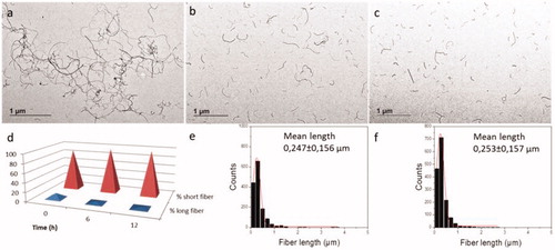 Figure 1. TEM images of 0.2 mg/mL MWCNT material stock suspension in tannic acid sonicated in a vial sonicator by the sonication methods: (a) VSc (b) VSd, (c) VSd, (d) variation in the % of fiber length with time (1< fiber length (µm)<5). (e–f) length size distribution after 6 (VSd) and 12 h (VSe) of sonication.