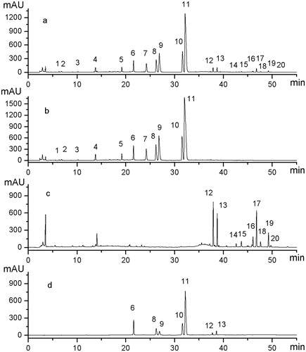 Figure 3. Comparison of representative HPLC fingerprint profiles of mixed standards and the extract of sample and single herb samples under optimized conditions. (a) Extract of Sample S9 (C2–E2), (b) Extract of NC sample (C2), (c) Extract of NC sample (E2), and (d) Mixed standards of the seven chemical constituents. Among 20 representative general peaks, Peaks 1–11 originated from Coptidis Rhizoma, and Peaks 12–20 originated from the Euodiae Fructus. Peaks 6, 8, 9, 10, 11, 12, and 13 are jatrorrhizine, epiberberine, coptisine, palmatine, berberine, evodiamine, and rutaecarpine, respectively.