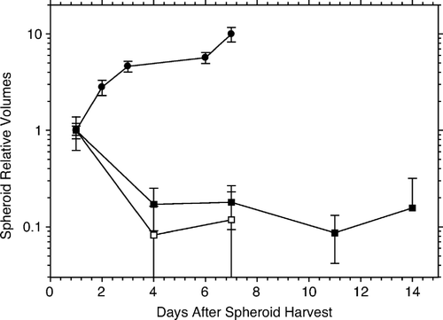 Figure 1.  Effects of time held in suspension on spheroid volume. Relative volumes of spheroids composed exclusively of live (black squares), and supralethally irradiated (20 Gy, open squares) AG1522 fibroblasts are plotted for successive days after spheroid selection. Both types of spheroids shrank to about 10–20% of their original size within three days (day four after creation), after which, they remain the same reduced size for the rest of the period of observation (up to two weeks). In contrast, pure spheroids of HeLa cells (black circles) grow, increasing in size (volume) by an order of magnitude over a 6-day period. Data obtained from four experiments. Error bars in this and in other graphs are standard errors of the mean.