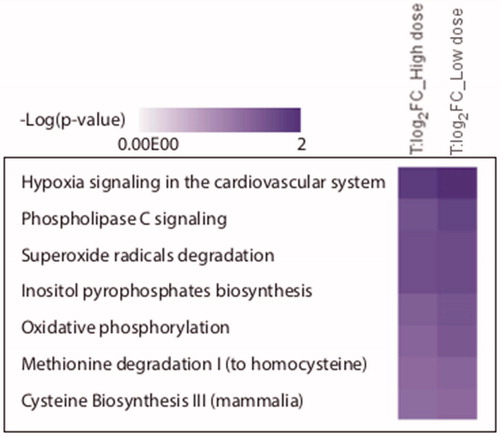 Figure 9. The most affected biological pathways as inferred from the IPA analysis. After comparison of exposed conditions to control, the protein groups with Student’s t-test p values <0.05 and mean absolute log2 LFQ ratio >0.58 were analyzed through the use of QIAGEN’s Ingenuity® Pathway Analysis to determine enriched functional categories. The figure lists biological pathways that are predicted to be regulated by significantly altered proteins from the exposure conditions: high dose and low dose.