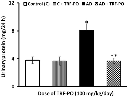 Figure 3. Effect of TRF on excretion of urinary protein in experimental atherogenic rats. Values are mean ± SD. *p < 0.01 versus control; **p < 0.01 versus atherogenic diet (AD).