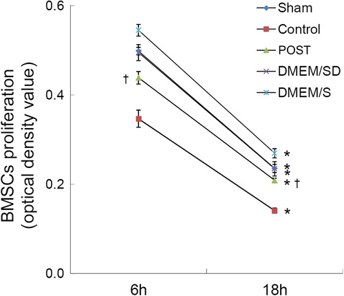 Figure 4. Quantitative analysis of stem cell proliferation by MTT under hypoxia in vitro. All values are expressed as mean ± SD (n = 3). *P < 0.01 versus 6 h. †P < 0.01 versus Control.