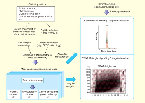 Figure 2. The generation and targeted navigation of mass spectrometric reference maps associated with specific clinical questions. MS2 spectra are obtained either via the deep-sequencing analysis of the real sample or by the shotgun identification the synthetic peptides representing the proteins of interest. The MS2 information are collected as assays, yielding the mass spectrometric reference maps. The targeted navigation can be then achieved by either SRM-based targeted profiling or SWATH MS-based global profiling. Note that the MS assays from the reference maps are important for both the targeted measurement by SRM and the data extraction step in SWATH analysis.