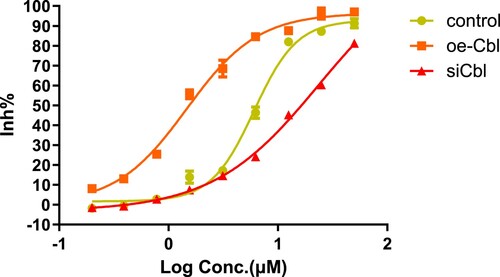 Figure 7. Growth inhibition of HL60 cells with different c-CBL gene statuses treated with sorafenib for 24 h. The IC50 values were calculated by the CCK-8 colorimetric method. The results showed that the sorafenib IC50 concentration was increased with the downregulation of c-CBL gene expression and decreased upon c-CBL gene overexpression.