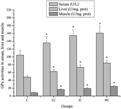 Figure 3. Effects of CSP on GPx activities in serum, liver and muscle of mice. Data are expressed as mean ± SD. CSP: polysaccharides from Cordyceps sinensis; C: control; LC: low-dose CSP treated (100 mg/kg); IC: intermediate-dose CSP treated (200 mg/kg); HC: high-dose CSP treated (400 mg/kg). *, p < 0.05 compared with C group.