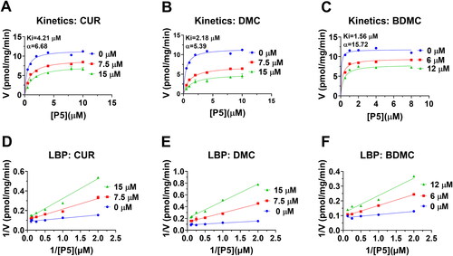 Figure 6. Enzyme kinetics-inhibition and Lineweaver-Burk plot analysis of curcumin analogues on rat 3β-HSD1: Enzyme kinetics-inhibition analysis for curcumin (CUR), demethoxycurcumin (DMC) and bisdemethoxycurcumin (BDMC) (A-C); Lineweaver-Burk plot analysis for CUR, DMC, and BDMC (D-F), n = 3–4.