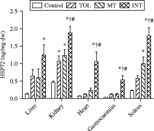 Figure 3.  Tissue HSP72 levels in control mice and in TOL, MT, and INT mice following heat stress. One-way ANOVA revealed significant (F (3, 37) = 4.9, 16.3, 8.7, 11.6, and 27; P = 0.006, 0.0001, 0.0002, 0.0001, and 0.0001 for liver, kidney, heart, gastrocnemius muscle, and soleus muscle, respectively). P < 0.05: *compared to control; †compared to TOL; #compared to MT.