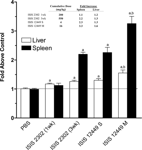 FIG. 1 Increased Tissue Weight Following Immunostimulatory ODN Treatment. Female mice were administered 50 mg/kg ISIS 2302 (q2d, sc) for 1 or 3 wk or 4 mg/kg ISIS 12449 as a single dose (S) or multiple dose (M; q2d for 1 wk). Liver and spleen weights were normalized as percent body weight and then expressed as fold change from the PBS control group. The insert table represents the cumulative dose of ODN exposure and the effect on organ weight. N = 4–8. aDenotes significant difference from PBS control. bDenotes significant difference from all groups.