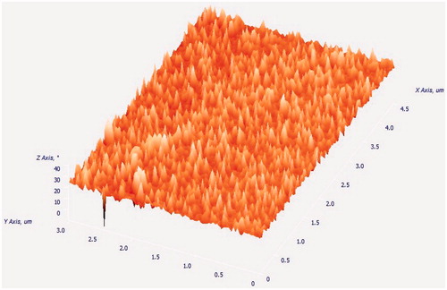 Figure 7. Atomic force microscope (AFM) image of multiple DTX-loaded TPGS micelles (3D image).
