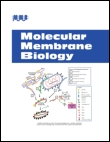 Cover image for Molecular Membrane Biology, Volume 28, Issue 7-8, 2011