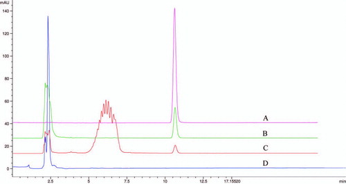 Figure 5.  Intracellular and extracellular concentration of schisandrin C as quantified by HPLC method. Schisandrin C (80 μ M) was administered into RPMI-1640 medium with an incubation time of 12 h. The solution was centrifuged with 12,000 rpm for 10 min. The supernatant was assayed by HPLC. Under chromatographic conditions employed, schisandrin C was shown by a retention time of 10.623 min. (A) The standard of schisandrin C. (B) Extracellular concentration of schisandrin C (incubated in RPMI-1640 medium for 12 h). (C) Intracellular concentration of schisandrin C (incubated in RPMI-1640 medium for 12 h). (D) Blank cell lysis solution.