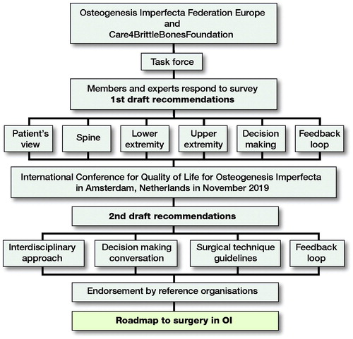 Figure 1. Process to develop a roadmap to surgery in osteogenesis imperfecta with international collaboration of patient organizations and interdisciplinary care teams.