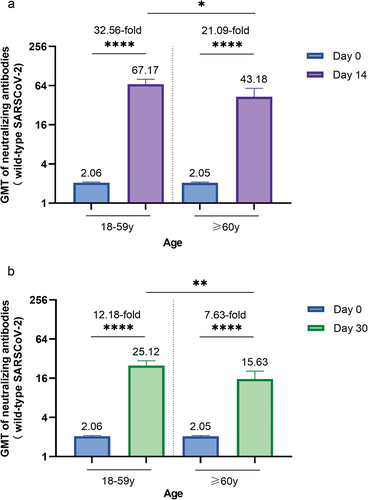 Figure 4. Neutralizing antibodies against wild-type SARS-CoV-2 before and after booster vaccination between different age groups.