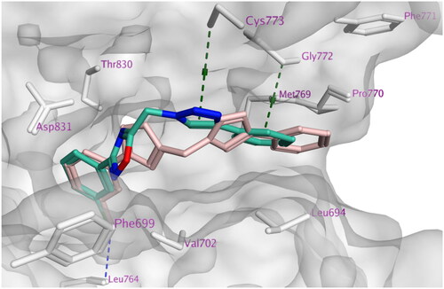 Figure 6. Docking representation model of compound 7h (cyan) aligned with compound 7i (pink) showing the protein surface (grey) of the site of EGFR (H-bond or halogen bond: blue dashed lines, Pi–H; green dashed lines).