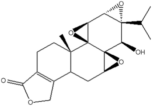 Figure 1. Structure of triptolide.