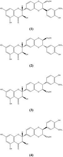 Figure 1.  Structure of silybin A (1), silybin B (2), isosilybin A (3) and isosilybin B (4)