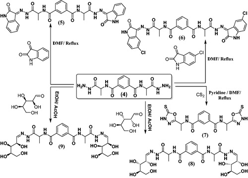 Scheme 2. Synthetic routes for N1,N3- bis-(1-hydrazinyl-1-oxopropan-2-yl) isophthalamide derivatives 5–9.