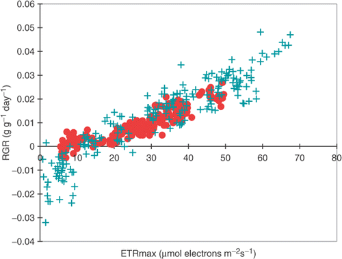Fig. 5. Correlation between photosynthetic rate (ETRmax) and growth rate (RGR) for Fucus vesiculosus from the Gulf of Bothnia (•) and the Irish Sea (+). Both variables measured after 5 weeks’ cultivation at different salinities (5, 10, 20, 35 and 45 psu) with different nutrient concentrations (see Fig. 3) and inorganic carbon concentrations (1.0 or 2.0 mol m−3).