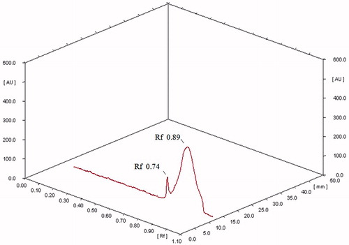 Figure 4. HPTLC separation of the bioactive DCM fraction. The bioactive DCM fraction was separated by using methanol:glacial acetic acid (95:5 v/v). Only two peaks were observed at Rf 0.74 and 0.89.