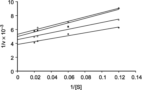 Figure 2 Double reciprocal plots of the effect of substrate concentration on purified ASB from infected mouse in absence and presence of increasing concentrations of praziquantel (0–10 mM) from lower to upper lines, respectively.