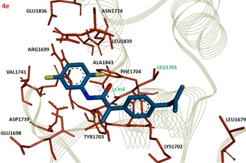 Figure 3 Docking complex of 4e against BRCA1.