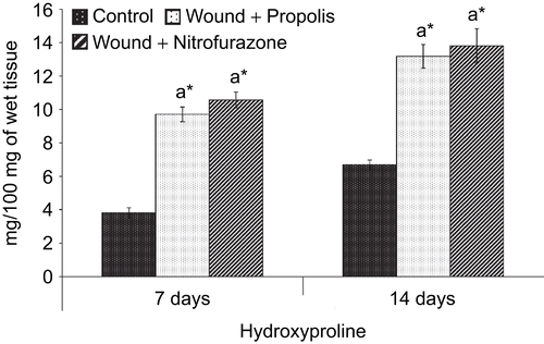 Figure 2.  Effect of Indian propolis on the level of hydroxyproline in the excision wound model. Values are mean ± SEM; n = 6 in each group. *Significant at p < 0.05 as compared with the control group of rats.