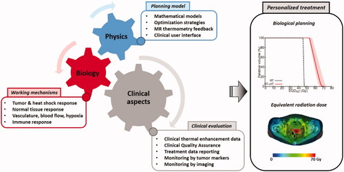 Figure 4. Multidisciplinary research combining biology, physics and clinical aspects will lead to personalized treatment using biological modeling to optimize thermoradiotherapy treatments. This reflects the ongoing research within the large European Hyperboost consortium (European Horizon 2020 MSCA-Innovative training network grant 955625).