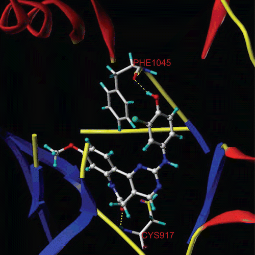 Figure 3.  Molecular Computer Aided Design (MOLCAD) Robbin surface of the adenosine triphosphate-binding site of VEGF-R2 (PDB code: 1Y6A) within compound 29. Key residues and hydrogen bonds were labelled. The α-helices were shown as helices or cylinders, while β-sheets were shown as arrows and the loop regions as tubes.