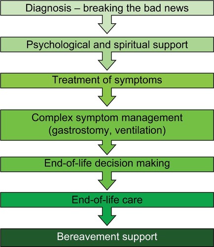 Figure 1 Development of a palliative approach in ALS.
