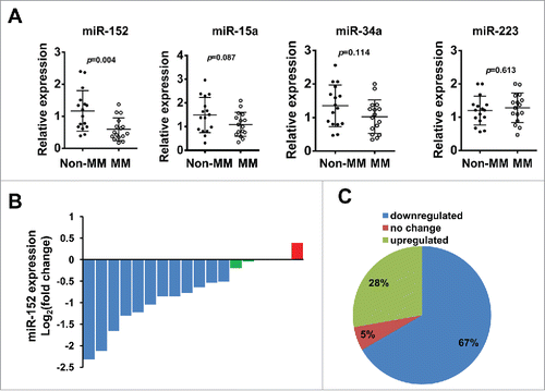 Figure 1. Gene expression of miR-152, miR-15a, miR-34a, and miR-223 in human multiple myeloma. (A) Expression of 4 candidate miRNAs was analyzed in MM patients (N = 18) and B cells from healthy donors (N = 16, non-MM group) by qPCR, after normalizing with the endogenous control U6. Among the 4 miRNAs, miR-152 showed the most significant downregulation compared to non-MM group (p < 0.004). (B) The expression of miR-152 in all the 18 MM samples were analyzed by log2(fold change)(ΔΔCt [MM/non-MM]). (C) Pie chart shows the percent distribution of miR-152 in downregulated, upregulated and unchanged samples from MM group.