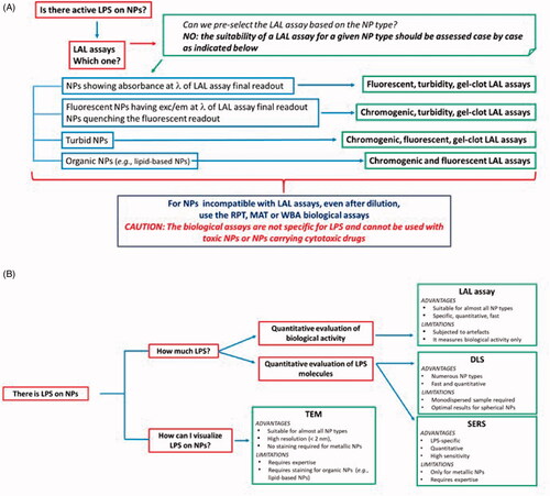 Figure 4. Decision tree. (A) In order to detect LPS contamination in NP samples, the first choice is generally the LAL assay. The LAL assay format is chosen depending on NP characteristics and behaviour in the assay conditions. Here we reported a synthetic guide on how to choose the most suitable LAL assay. Note that in general the suitability of a specific LAL assay for NP samples should be verified empirically case by case. If NPs interfere with LAL assay components or final readout, diluting NPs until the interference disappear can be an efficient solution. When NPs are not suitable for any LAL assay format, other functional assays (RPT, MAT or WBA) are used, which however are not specific for LPS and cannot be used with cytotoxic NPs. (B) If NPs are contaminated by LPS, the contamination can be quantified by LAL (if you are interested to determine the LPS biological activity) or by DLS or SERS, to determine the number of LPS molecules, the choice of technique depending on the NP physico-chemical characteristcs. The presence of the LPS on NPs can be visualized by TEM. Note that in this figure the NP-based LPS detection assays have not been included since they are intended for different types of samples and cannot be applied to NP-containing samples. Information on such assays is reported in the paragraph ‘NPs for Detection and Quantitation of LPS’ and in the Table 2. LAL: Limulus amoebocyte lysate; exc/em: excitation/emission; RPT: rabbit pyrogen test; MAT: monocyte activation test; WBA: whole blood assay; TEM: transmission electron microscopy: DLS: dynamic light scattering; SERS: surface-enhanced Raman spectroscopy.