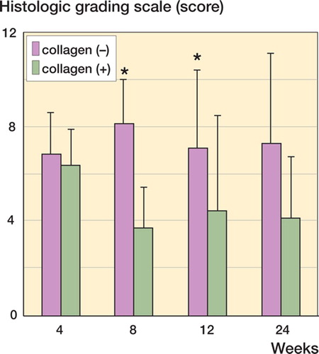 Figure 2. Histological evaluation using Wakitani's histological grading score (Wakitani et al. Citation1998). The collagen (+) defect is repaired with cartilage tissue of superior quality as compared to the collagen (–) defect. However, the grading score of the collagen (+) defect does not improve after the eighth postoperative week. Data are shown as mean ± SD. Asterisks indicate statistical significance (Student's t-test, p < 0.05).