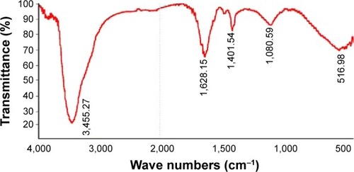 Figure 3 Fourier transform-infrared spectra of the silver nanoparticles synthesized in the Bacillus funiculus culture supernatant.