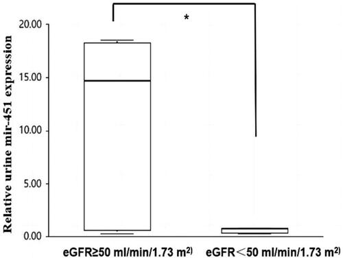 Figure 2. Comparison of uE miR-451 levels between the two subgroups according to the eGFR < 50 mL/min/1.73 m2 and ≥ 50 mL/min/1.73 m2 in patients with IgAN (9 vs 31 cases). *Significant difference between patients with the two subgroups according to the eGFR < 50 mL/min/1.73 m2 and ≥ 50 mL/min/1.73 m2 in patients with IgAN (p = 0.007).