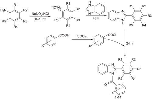 Scheme 1.  Synthetic scheme for the synthesis of substituted benzimidazole derivatives.