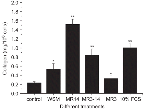 Figure 4.  Effects of WSM, MR14, MR3–14, and MR3 on collagen production. Results are expressed as the mean ± SEM (n = 5) *p < 0.05, **p < 0.01.