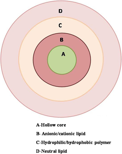 Figure 4. Schematic representation of Hollow core/shell lipid– polymer–lipid hybrid NPs.