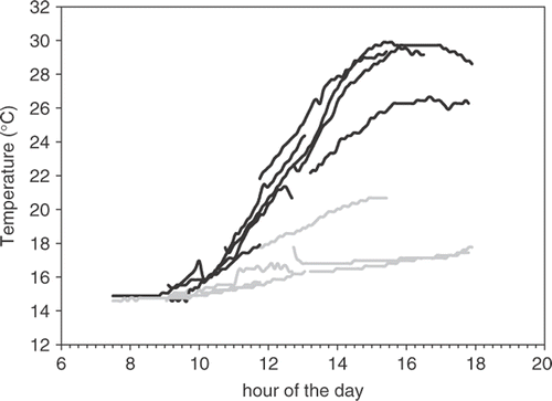 Fig. 5. Temperature of surface (black lines) and bottom (grey lines) water of a typical tide-pool dominated by Sargassum muticum during low tide of 8 days in July 2003.