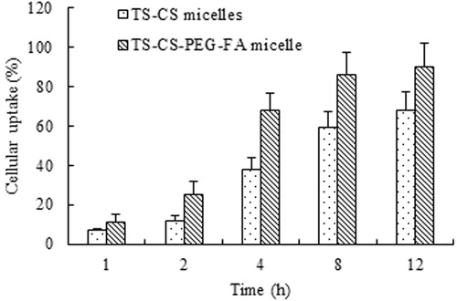 Figure 4. The cellular uptake percentage of FITC/CS-TS and FITC/TS-CS-PEG-FA micelles in 4T1 cells (the polymer concentrations were 20 μg/ml).