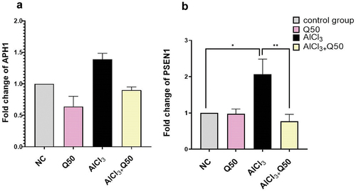 Figure 4. The effect of co-administration of Q on gamma secretases genes expression in AD rat hippocampus tissue. A: Fold change of APH1, B: Fold change of PSEN1. Data are displayed as mean ± S.E.M (n = 8). * P < 0.05.