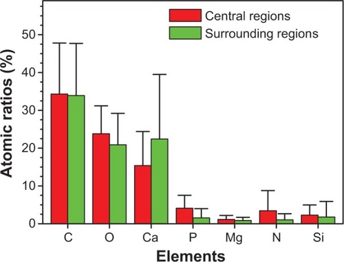 Figure 6 Atomic ratios from energy dispersive X-ray spectroscopy analysis of the central and surrounding regions of different urinary crystallites from calcium oxalate monohydrate stone patients.