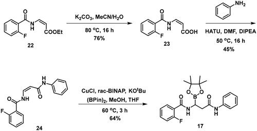 Scheme 4. The synthesis of branched boronic acid derivatives.