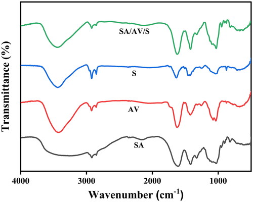 Figure 4. (A) FTIR spectra of SA, AV, S and SA/AV/S scaffold, respectively.